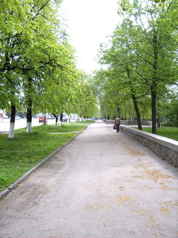 Вдоль парка. Золотоноша