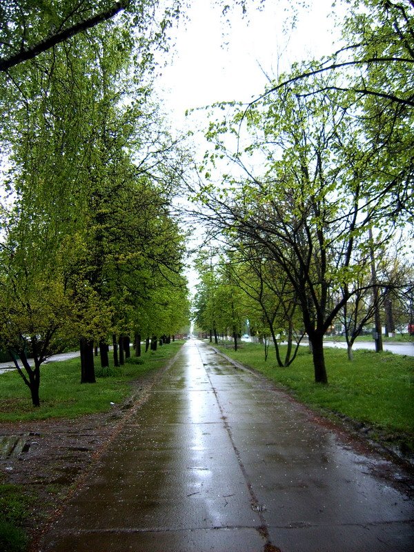 Аллея. Золотоноша