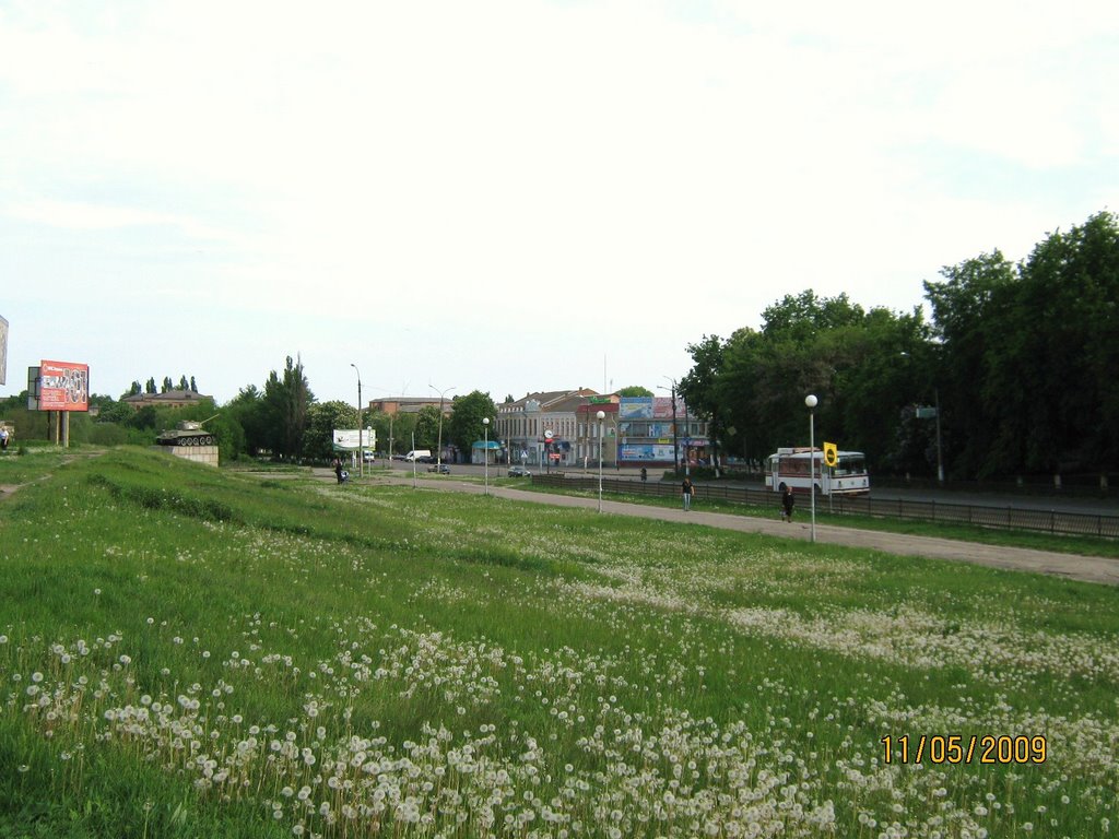 Золотоноша,Центр