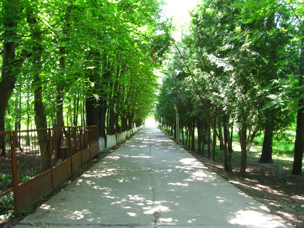 Zolotonosha