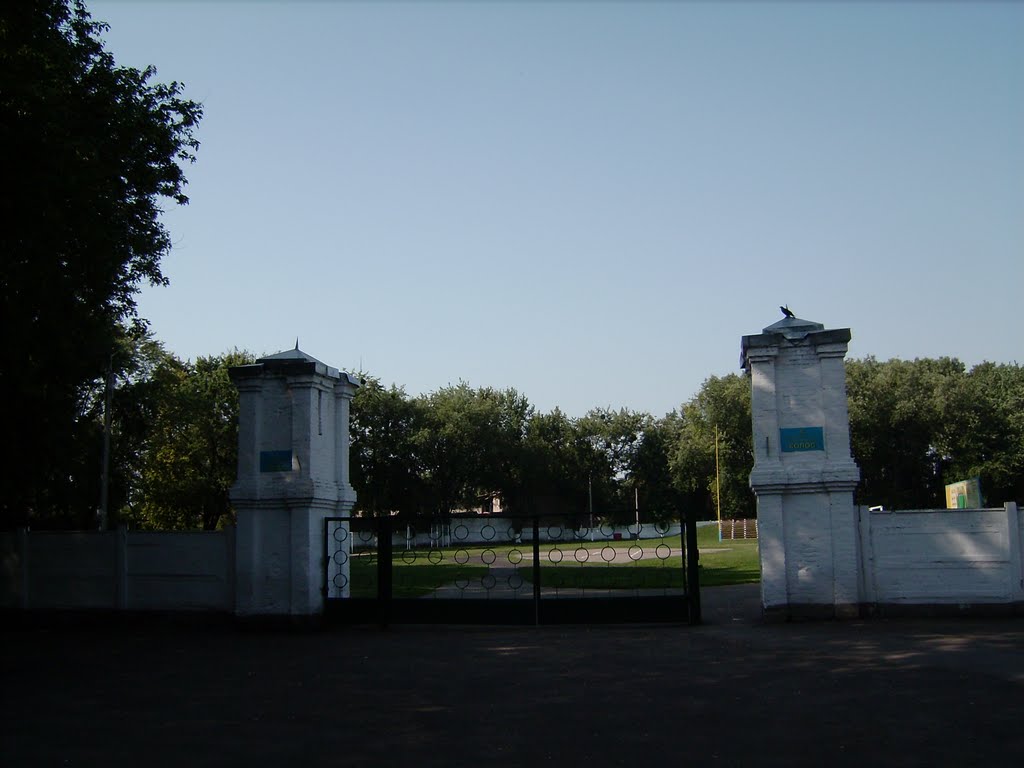 Стадіон