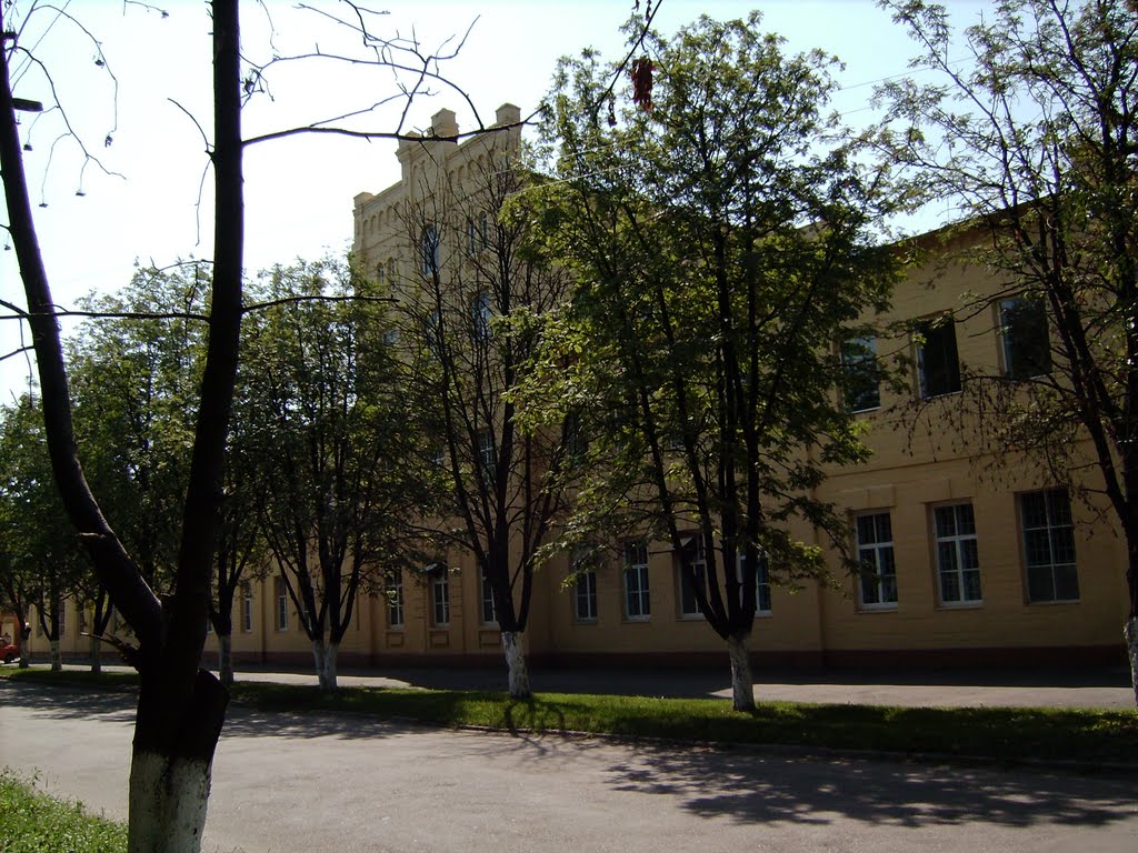 Златогор