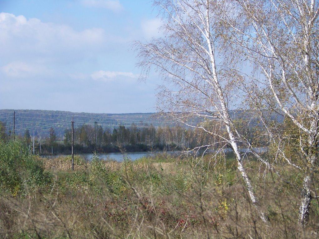 Ирдынь