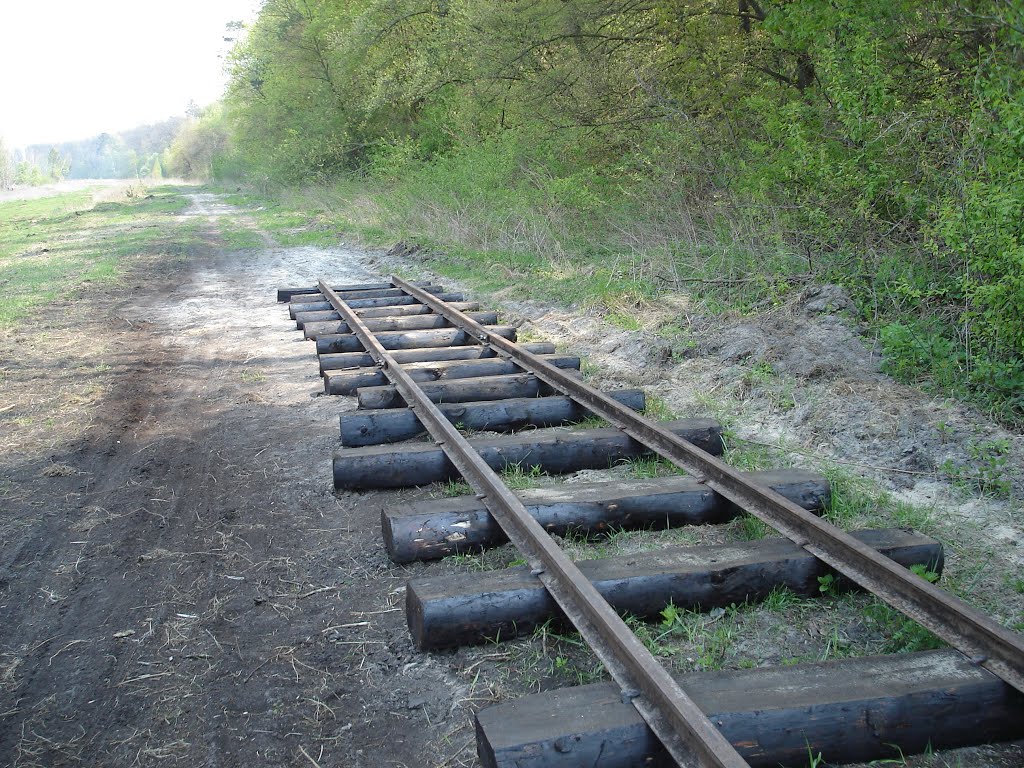 end of rail | 2006.5