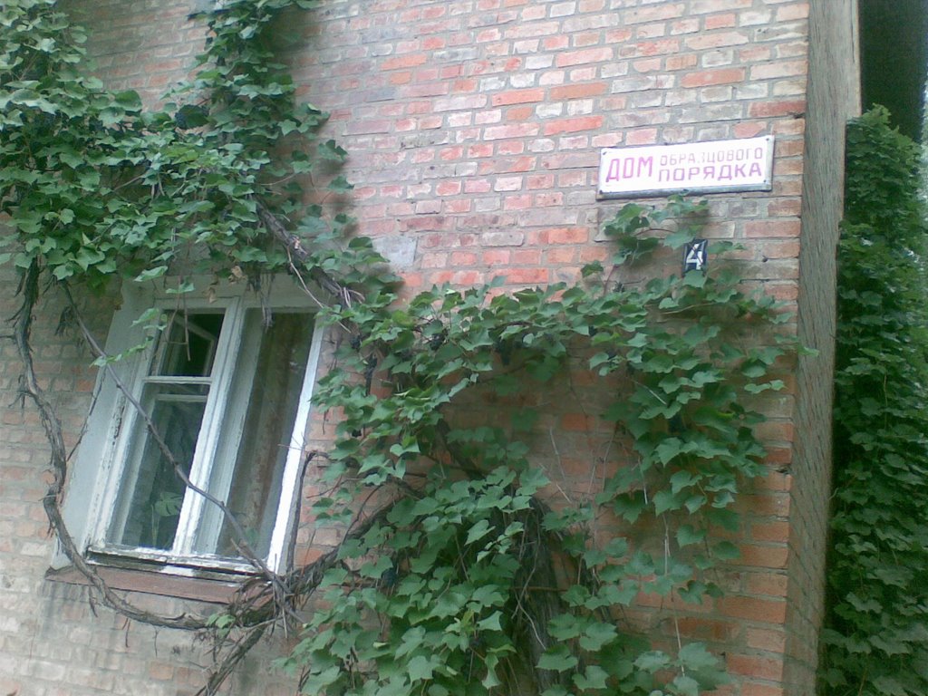 Дом образцового порядка