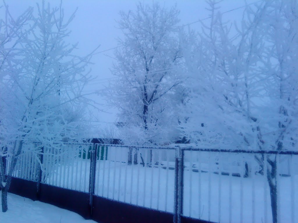 Зима! 26 января 2011г