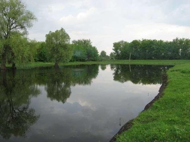 Ставок біля вет. лікарні