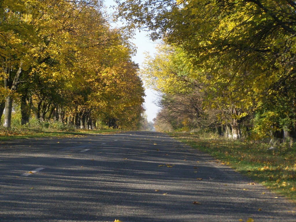 Осень
