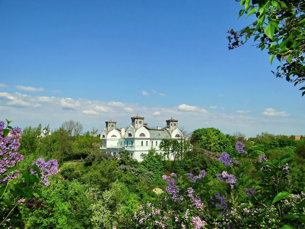палац Лопухіних з гори Янталки, Korsun - palace