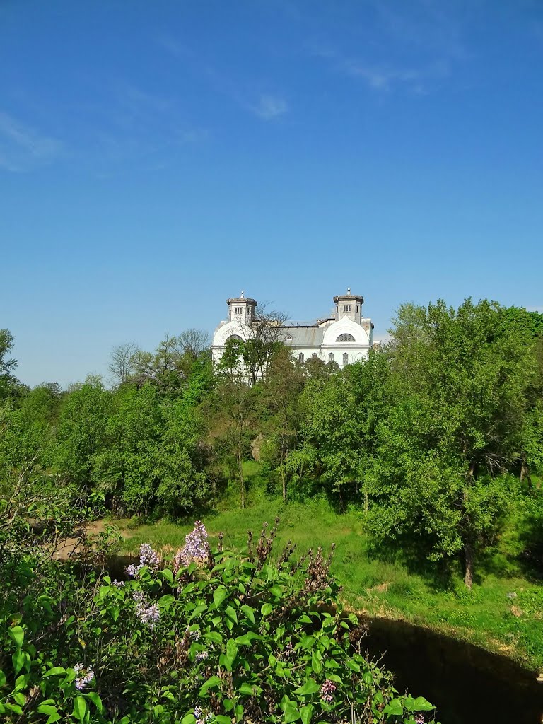 Корсунь - палац,  Korsun - palace of the family of Lopukhinykh-Demydovykh