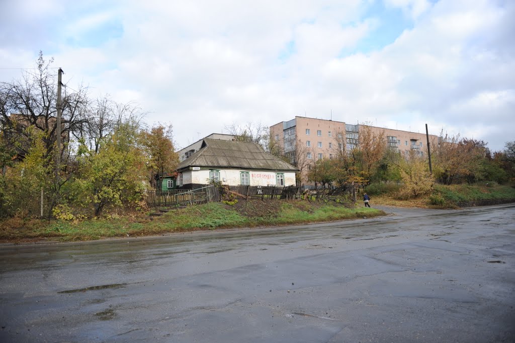 Старый домик