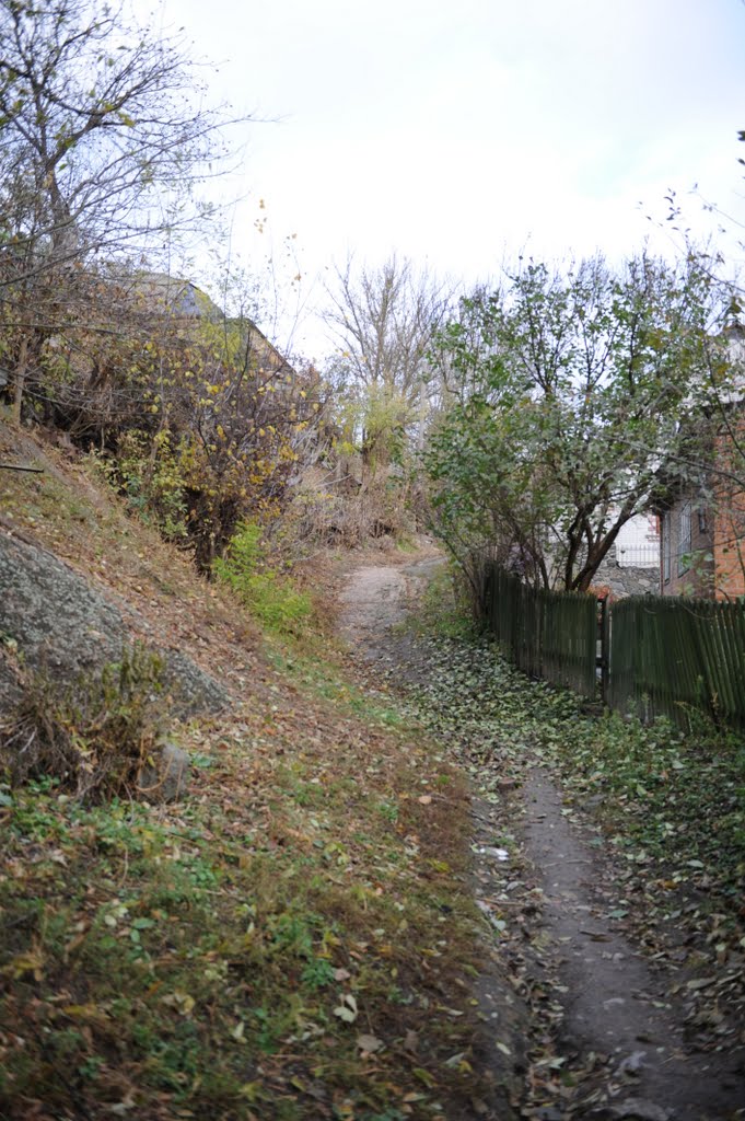 Дорога