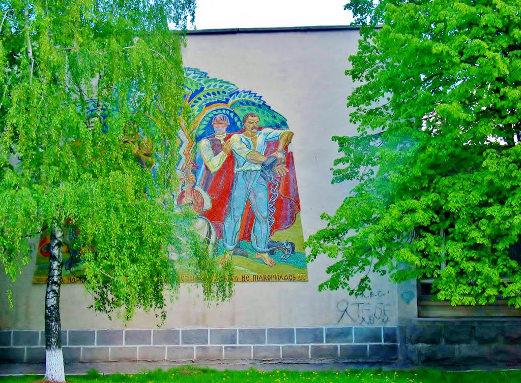 06.05.2008  13:25  В центре г.Лысянка.