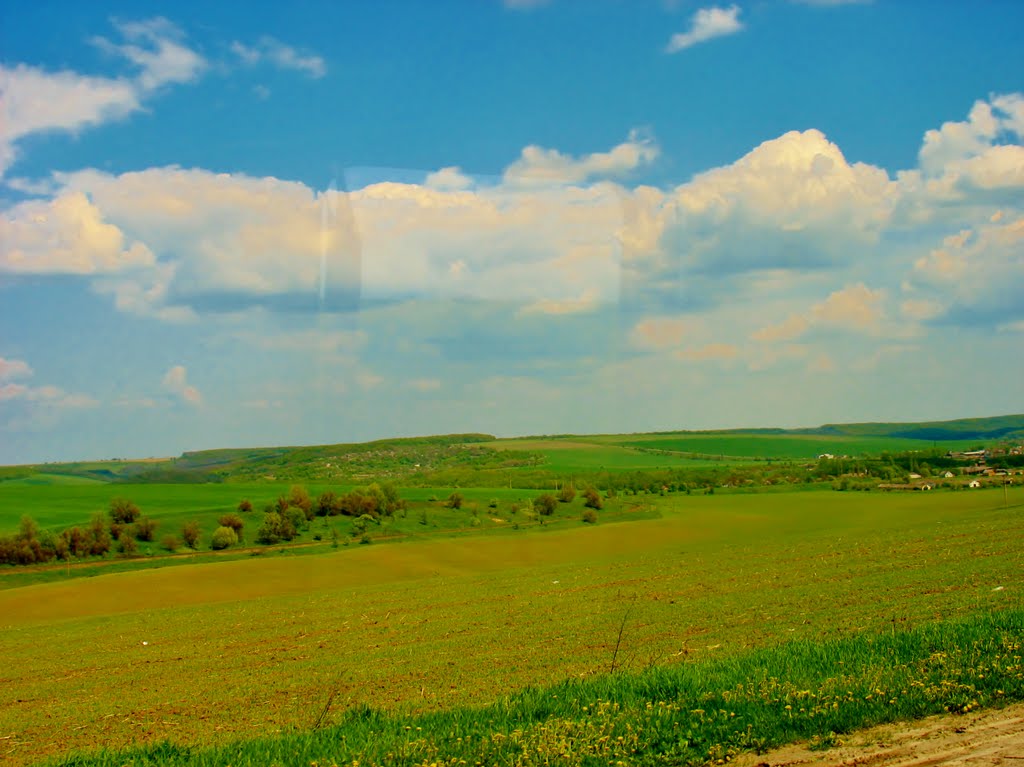 06.05.2008  13:23  Луга на подъезде к г.Лысянка.