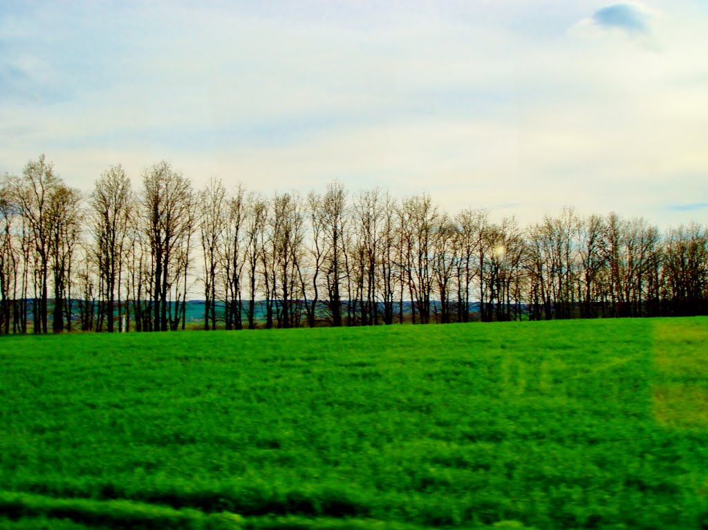 23.04.2012 17:58  Дорога Р04. Кромка поля перед городом Лысянка, Черкасской области.