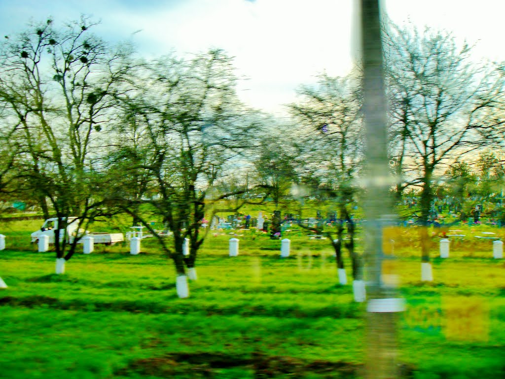 23.04.2012 17:59  Дорога Р04. Сад вдоль мемориала.