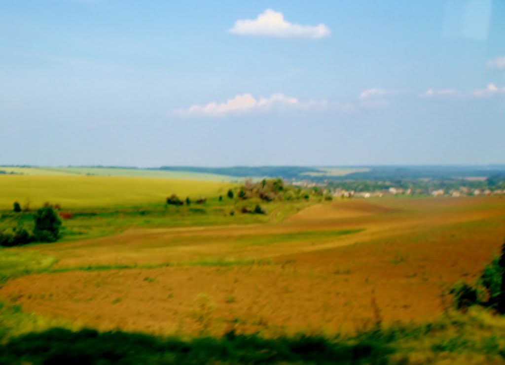 10.06.2012 18:05  Дорога Р-04. Поля и нивы.