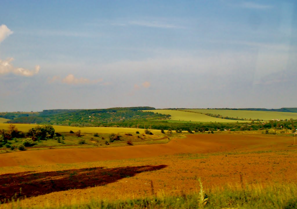 10.06.2012 18:06  Дорога Р-04. Вид на железнодорожную ветку среди полей.