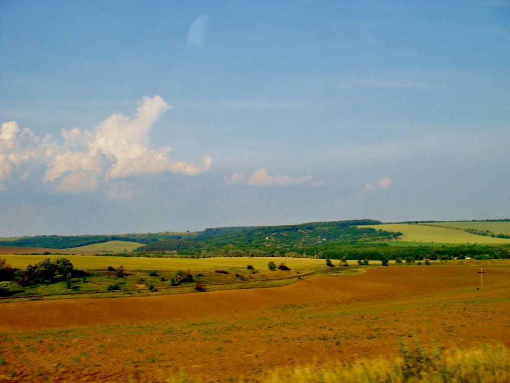 10.06.2012 18:06  Дорога Р-04. Железнодорожная ветка между нивами.