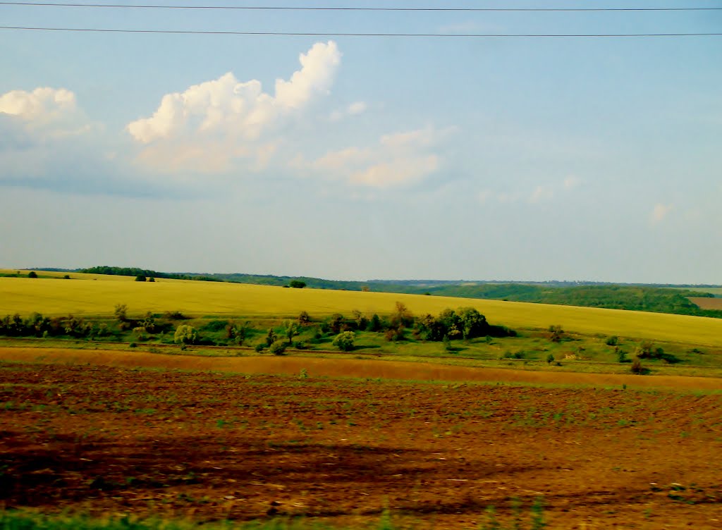 10.06.2012 18:06  Дорога Р-04.  Сельскохозяйственные участки перед чертой начала Лысянки.