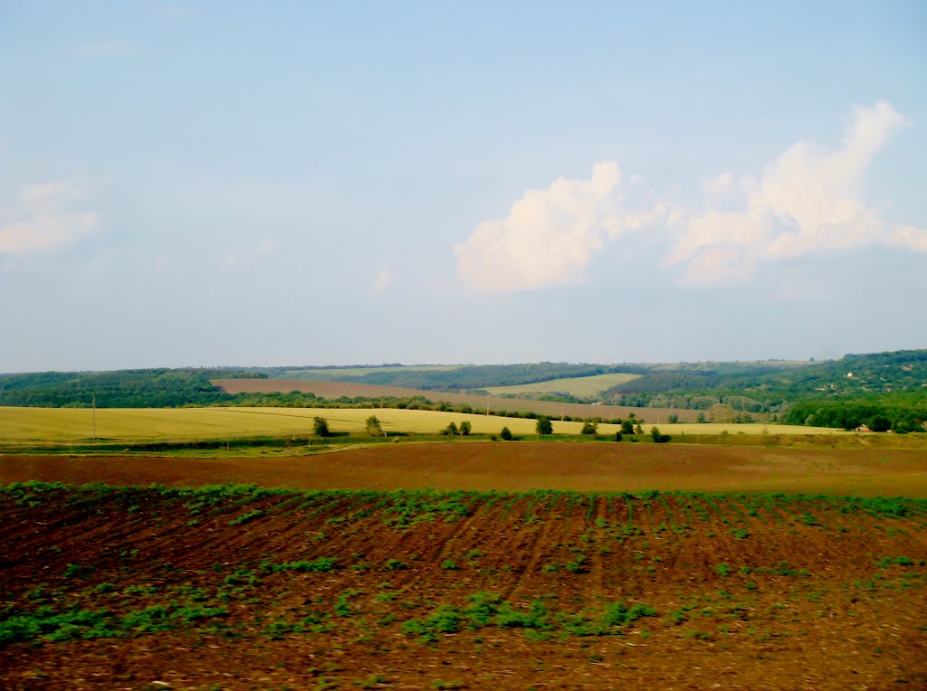 10.06.2012 18:06  Дорога Р-04. Поля перед фермами Лысянки.