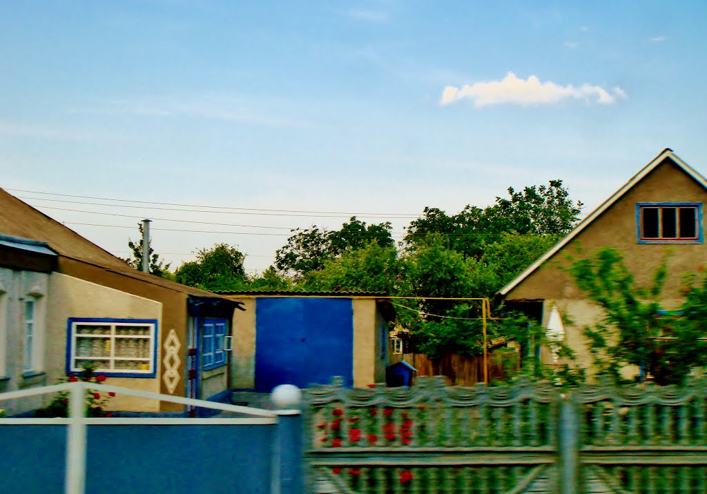 10.06.2012 18:08  Дорога Р-04. пгт Лысянка, улица Киевская. Подворье в цветах.