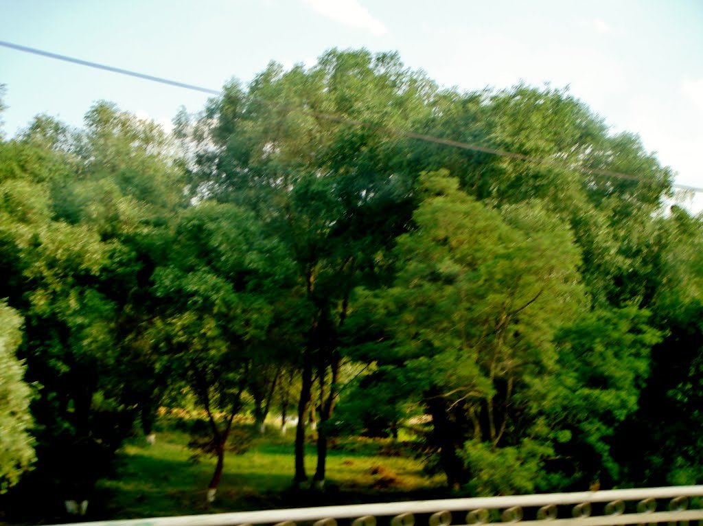 10.06.2012 18:10  Дорога Р-04. пгт Лысянка. Улица Котовского. По мосту через реку Гнилой Тикыч.