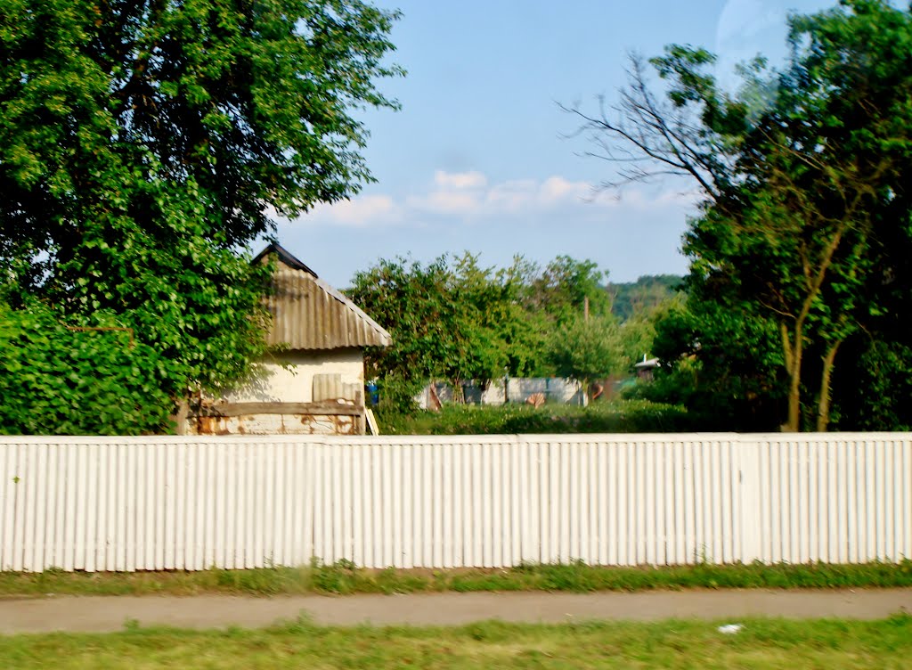 10.06.2012 18:11  Дорога Р-04.  пгт Лысянка, улица Котовского. На приусадебном участке.