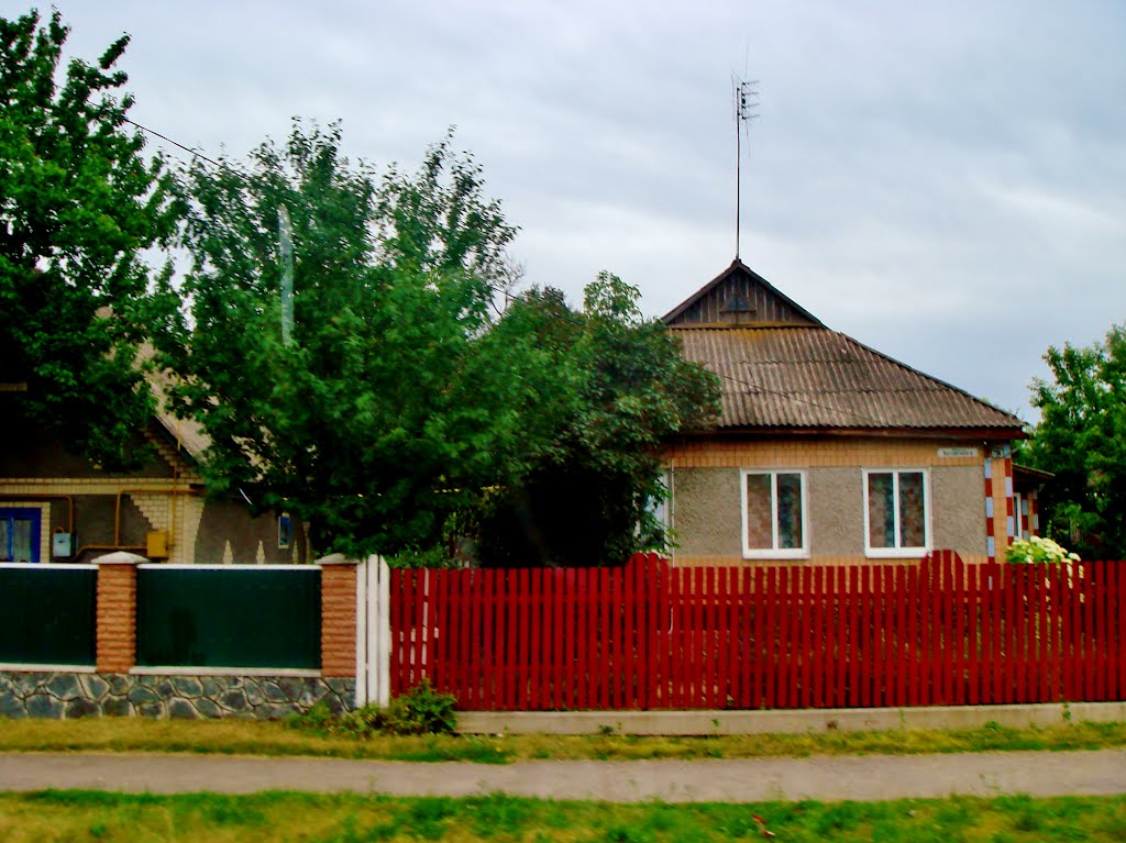 14.06.2012  Дорога Р-04, пгт Лысянка. Улица Котовского, 63.