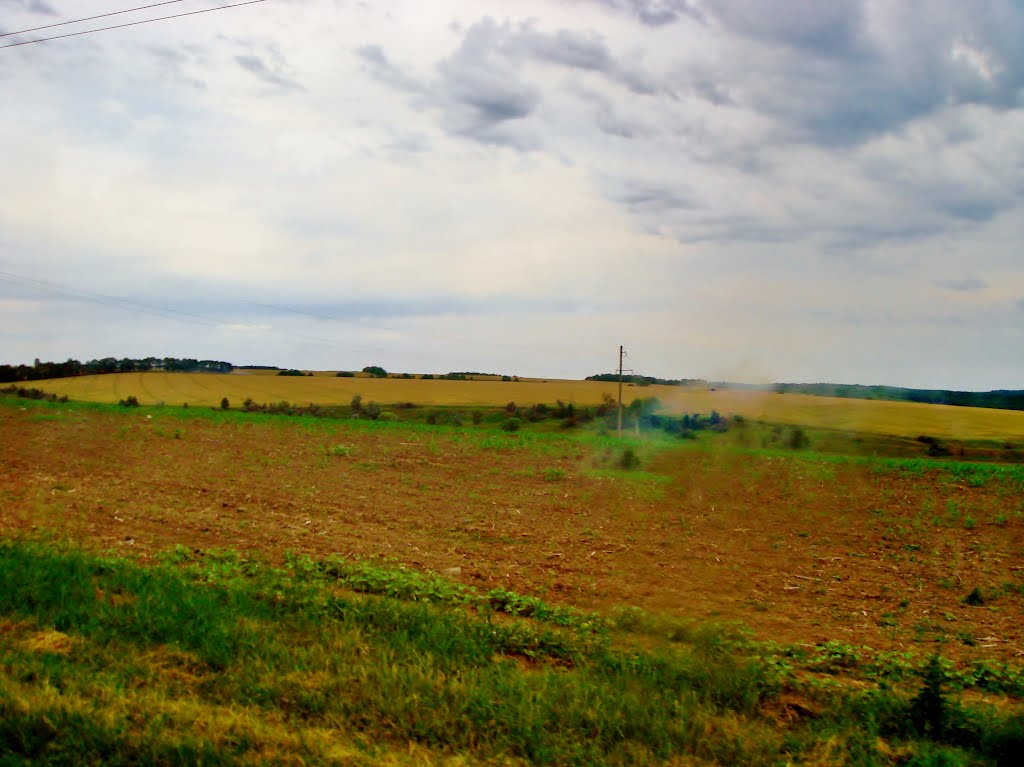 14.06.2012  Дорога Р-04. Поля за пгт Лысянка.