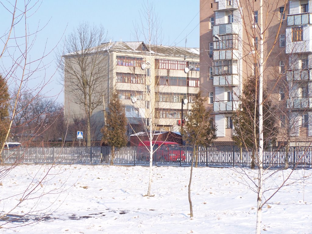 Lenina 29