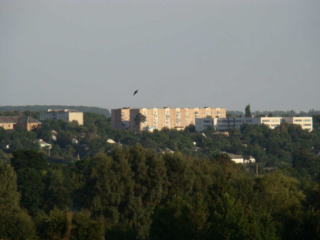 vylucia Lenina