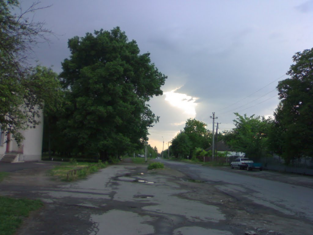 вулиця Щорса (Shchorsa street )