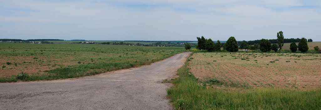 Панорама Маньківки