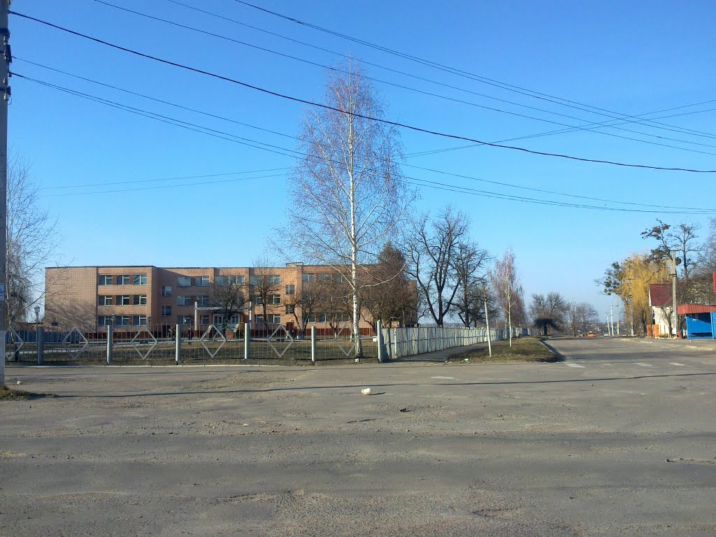 Школа №5