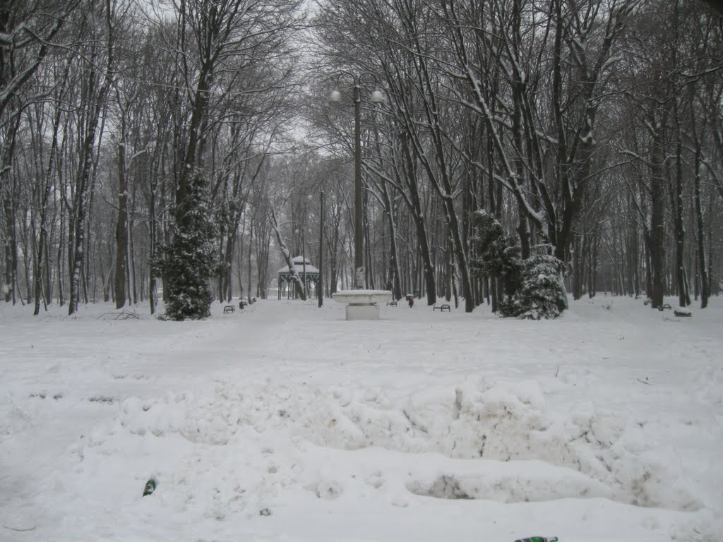 Парк.Монастирище