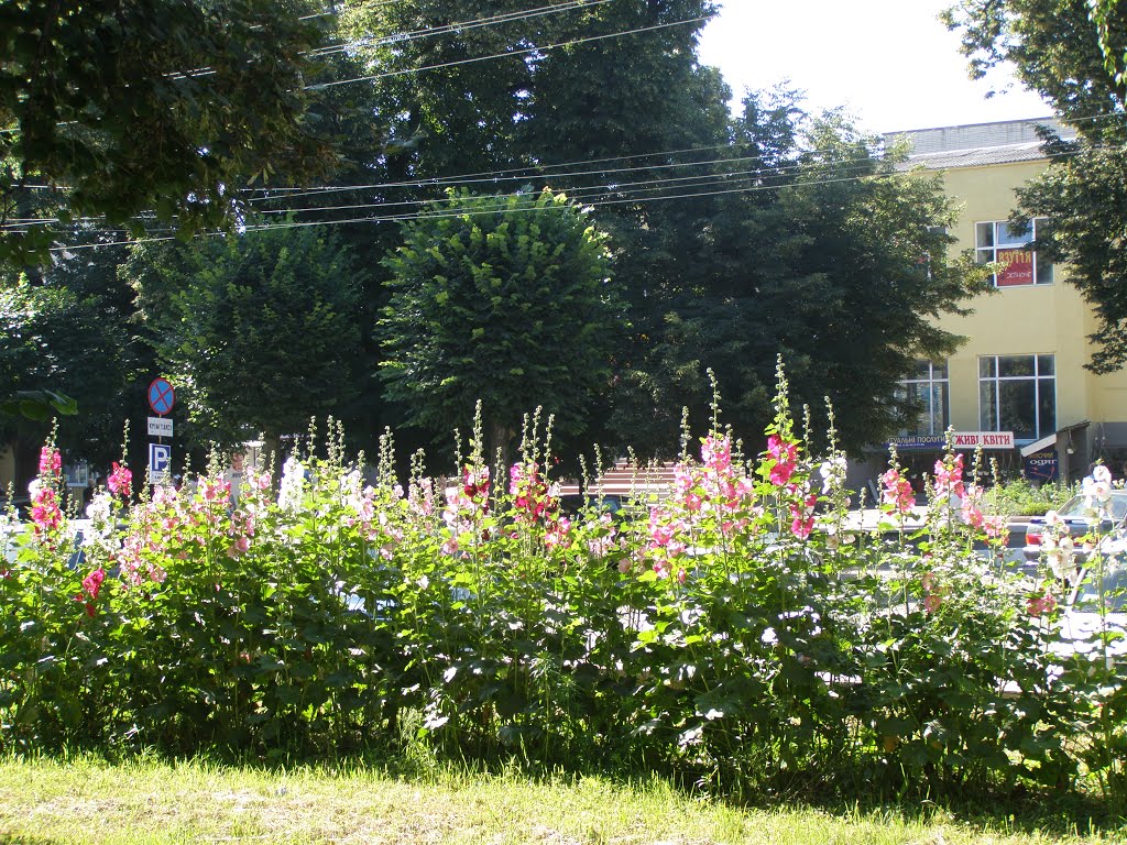 ул. Ленина