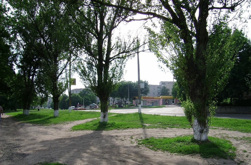 foto021m