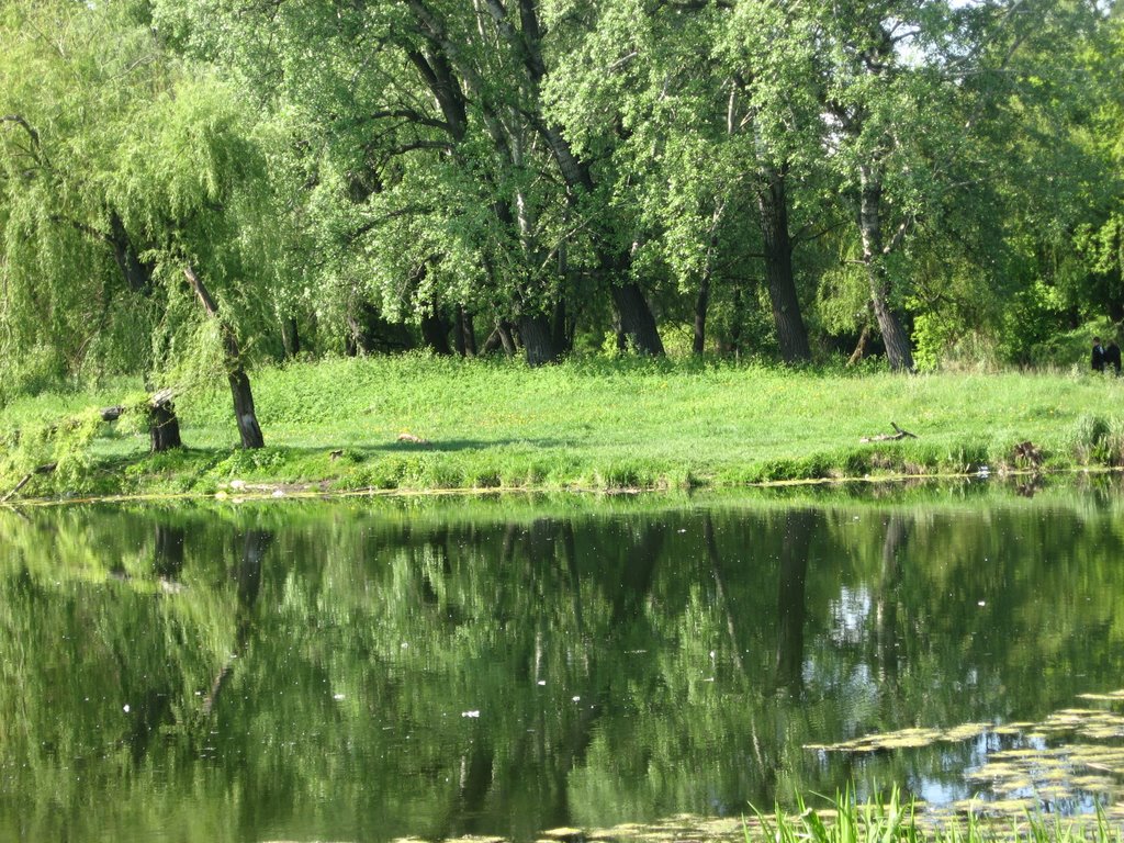 Закинутий парк біля стадіону Авангард