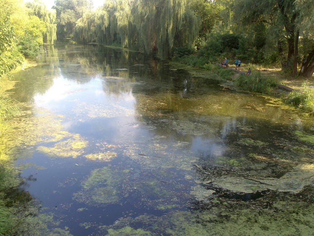 Сріблянка
