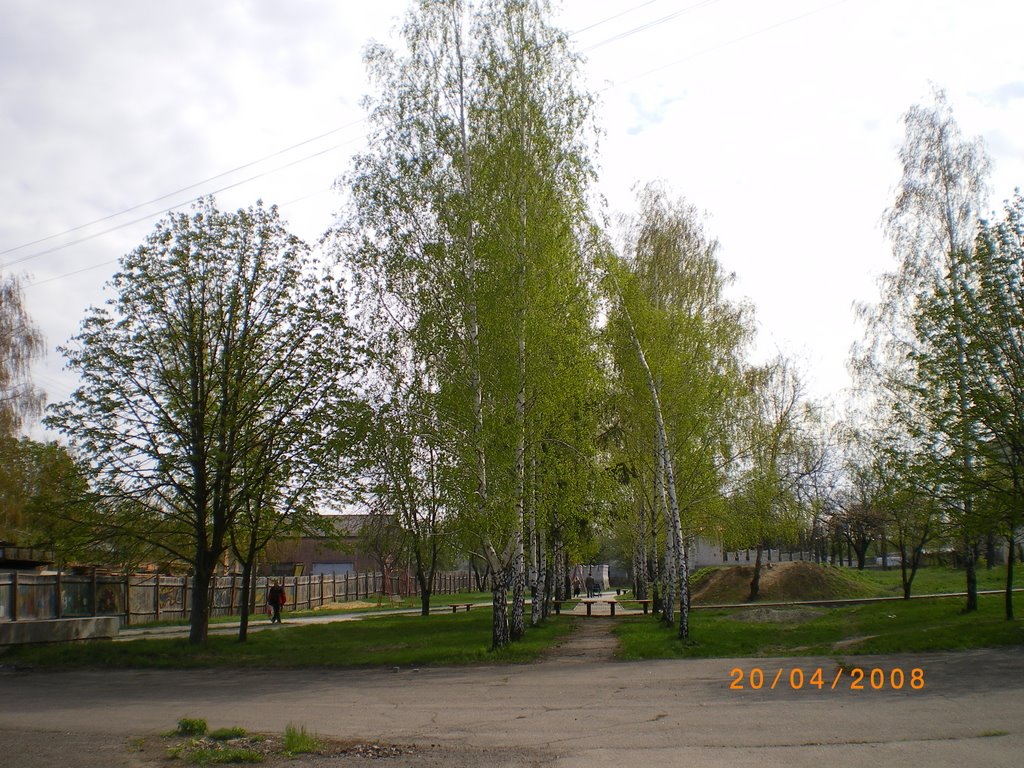 Парк за центром зайнятості