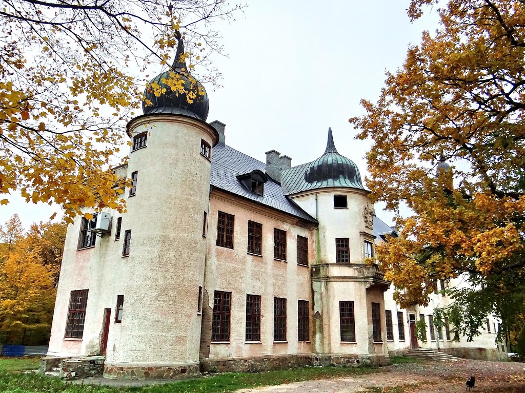 Тальне - палац Шувалових, Talne - palace, Тальное - дворец Шуваловых, 1903