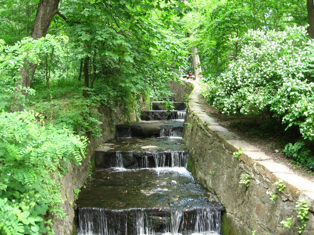 Uman