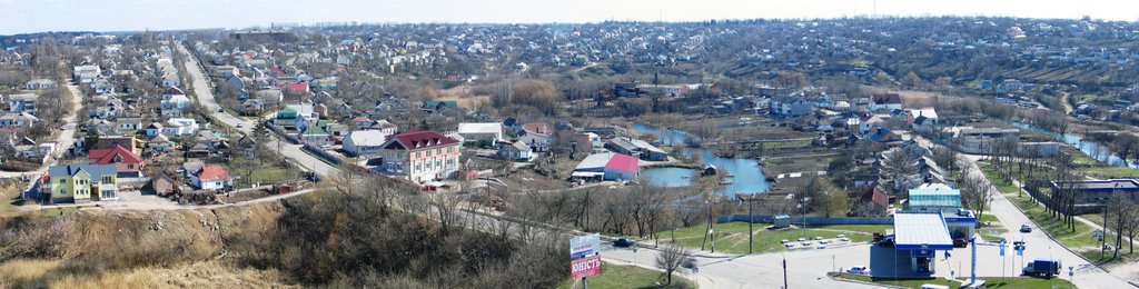 Лиса Гора