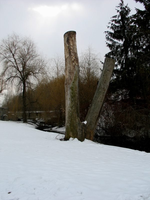 Умань_Park