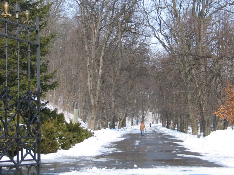 Умань_Park