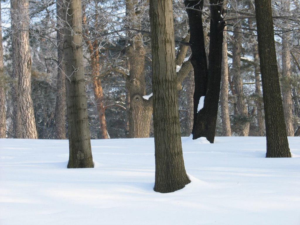 Умань_Park