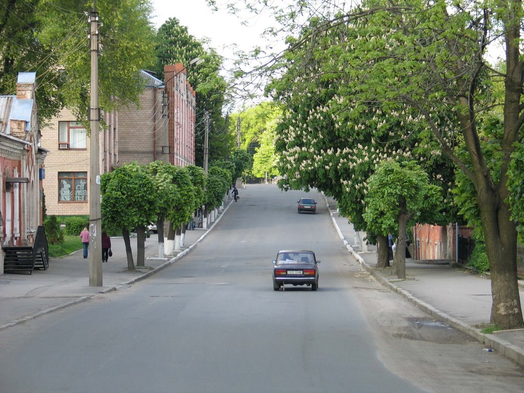 Садова
