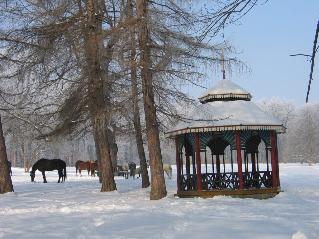 Китайская беседка