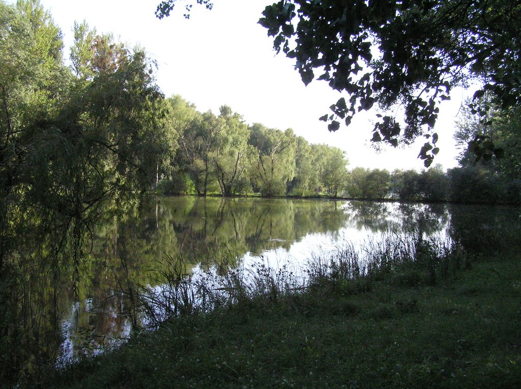 Долинка(Dolinka)